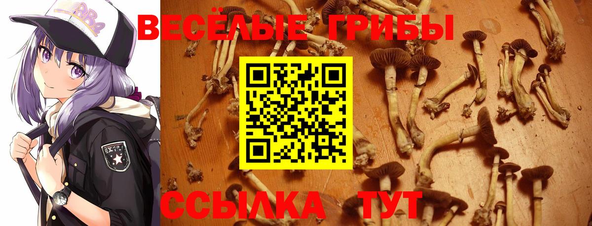 Галлюциногенные грибы ЛСД  Вход с VPN  Елабуга 